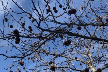 Razem możemy więcej – uczniowie w akcji z okazji Światowego Dnia Zespołu Downa.